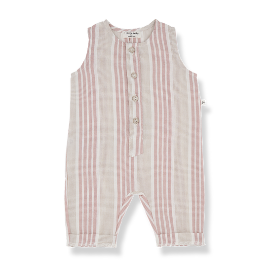 1+ in the Family Overall Pius Tuscany