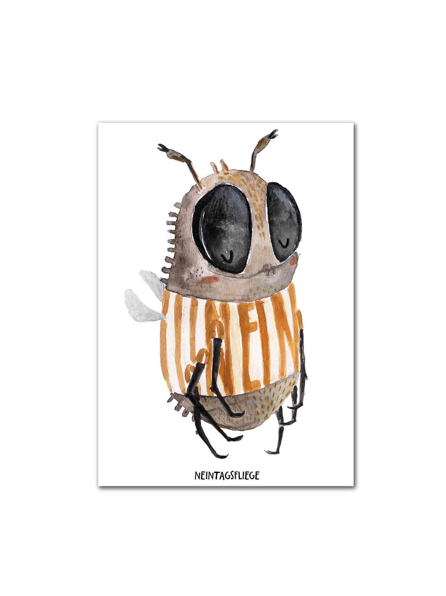 Halfbird Postkarte Neintagsfliege