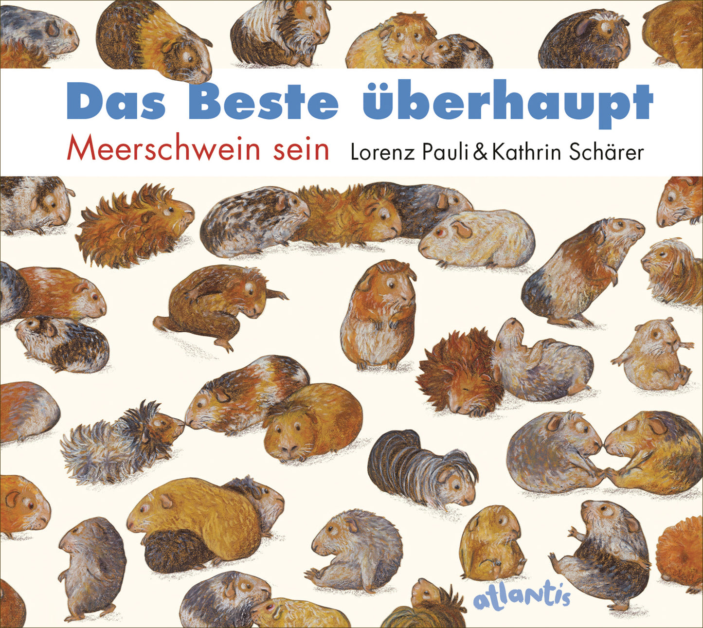 Das Beste überhaupt - Meerschwein sein