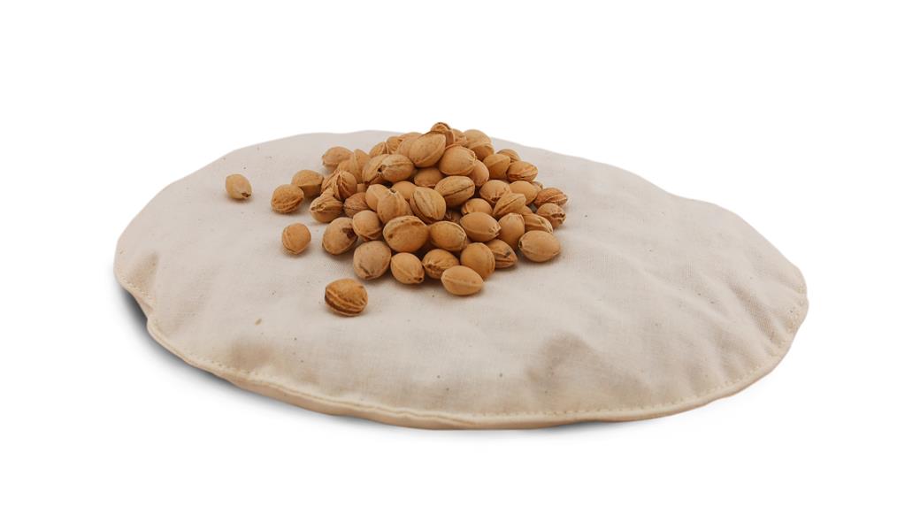 Senger Naturwelt Kamel, klein