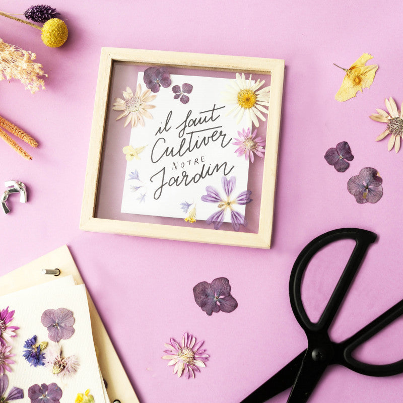 La Petite Epicerie DIY Mein Herbarium-Rahmen