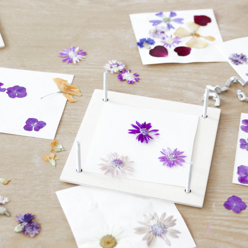 La Petite Epicerie DIY Mein Herbarium-Rahmen