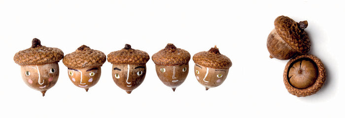 Floras Atelier - die kleine Werkstatt für zauberhafte Naturkunstwerke