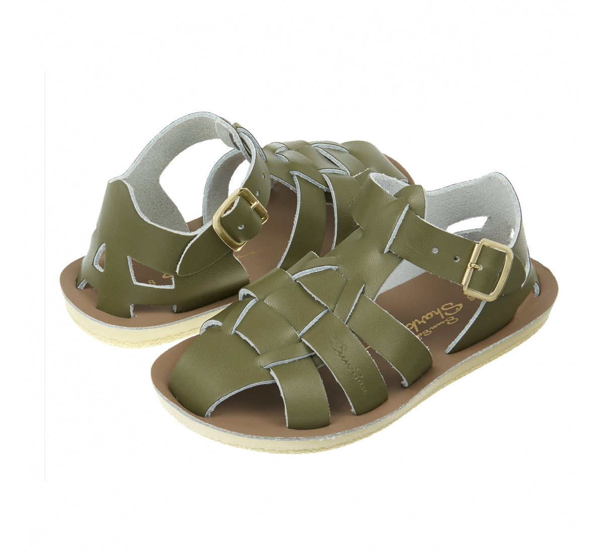 Salt-Water Sandals Shark Olive