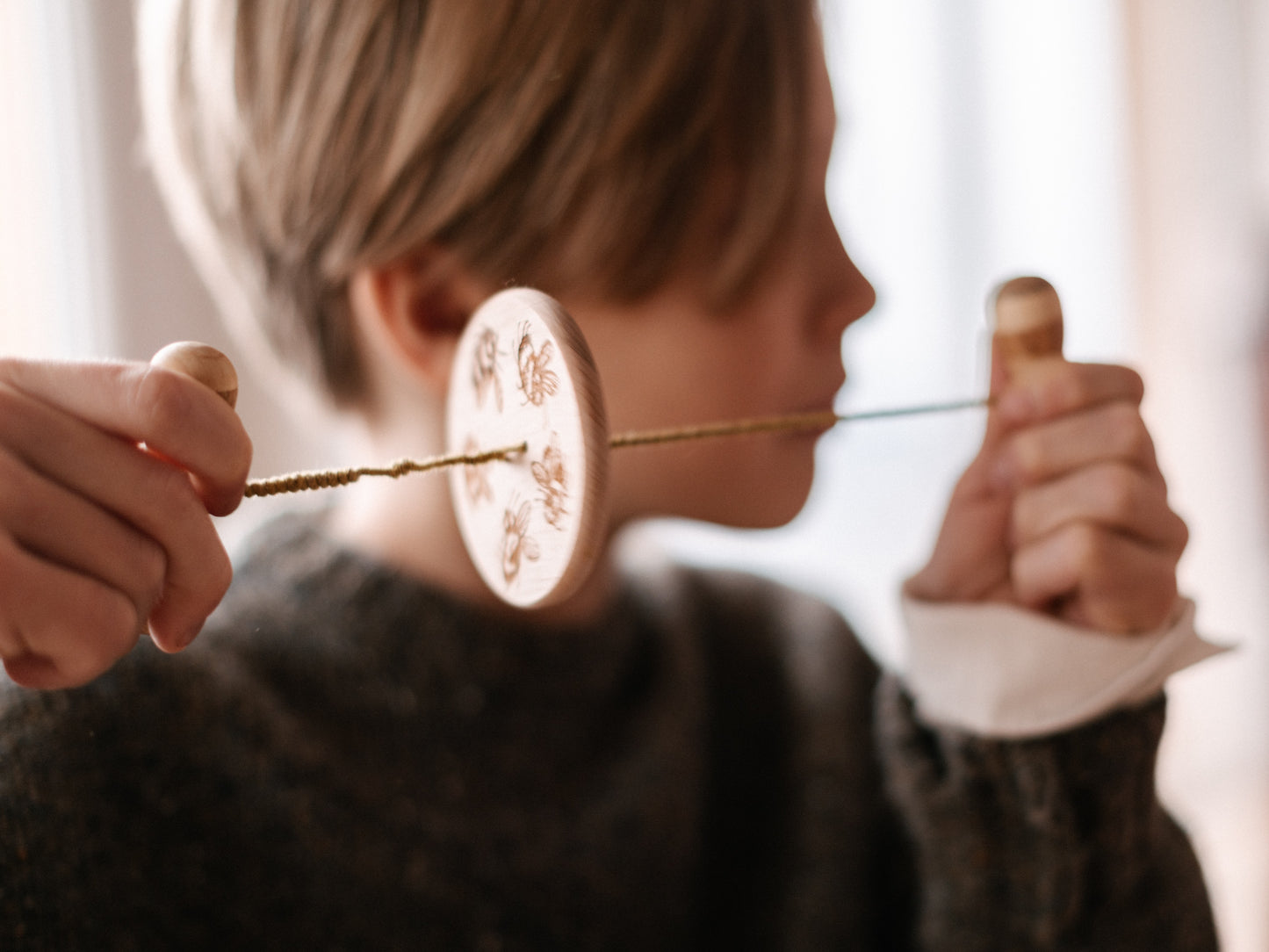 Wooden Story Swirling Disc Buzz