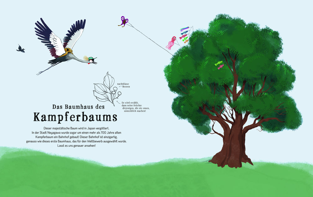 Der grosse Baumhaus-Wettbewerb