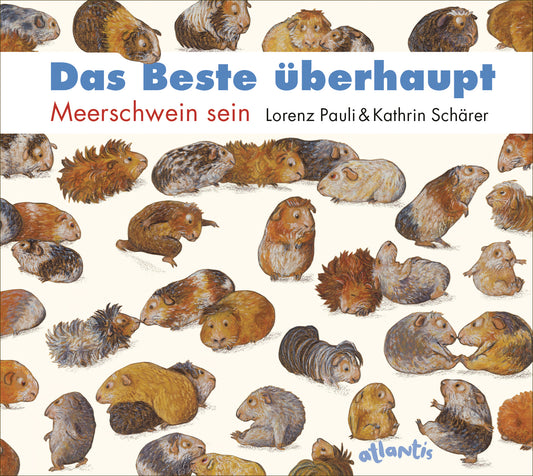 Das Beste überhaupt - Meerschwein sein