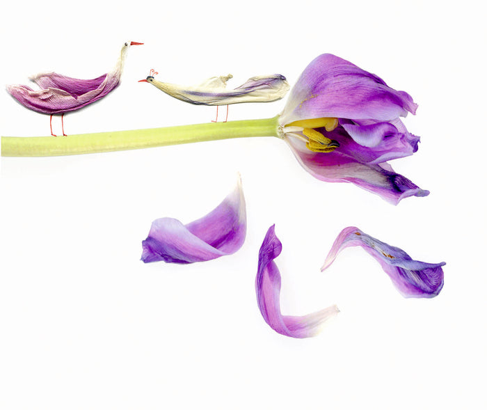 Floras Atelier - die kleine Werkstatt für zauberhafte Naturkunstwerke