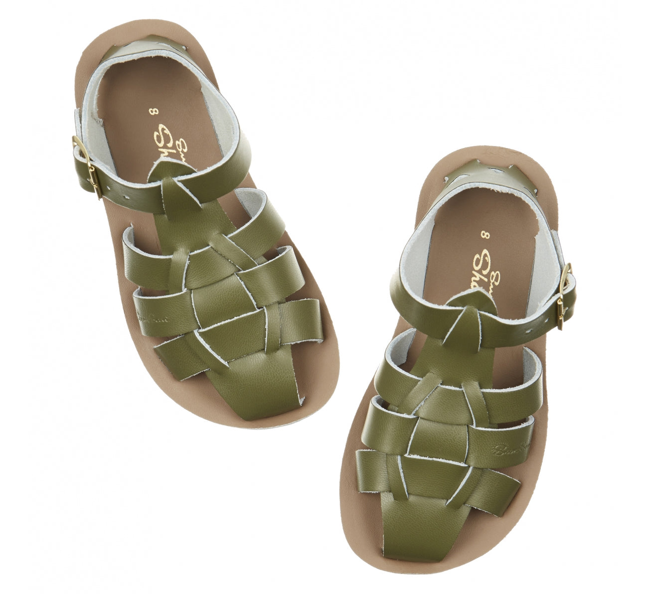 Salt-Water Sandals Shark Olive